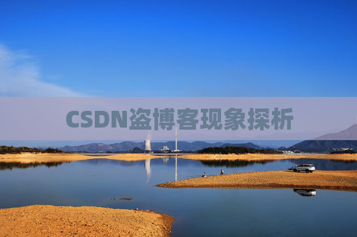 CSDN盗博客现象探析 CSDN盗博客现象探析